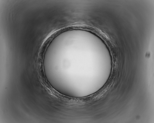 X0000099411400200805090716