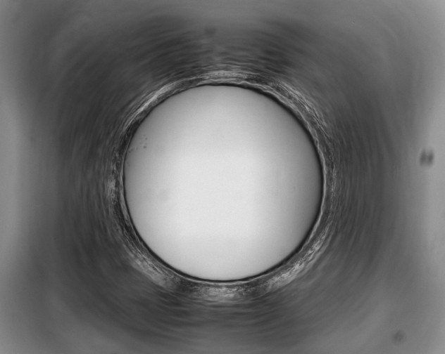 X0000099411401200805090716