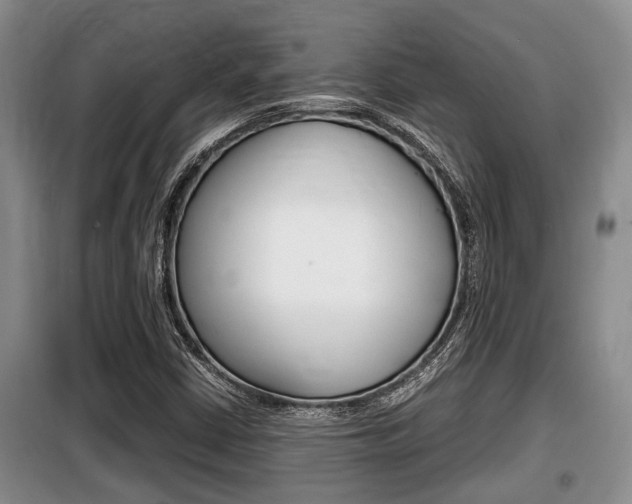 X0000099411402200805090716