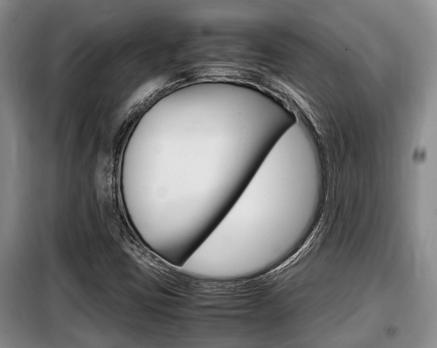 X0000099411403200805090716