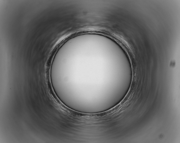 X0000099411404200805090716