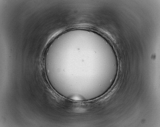 X0000099411405200805090716