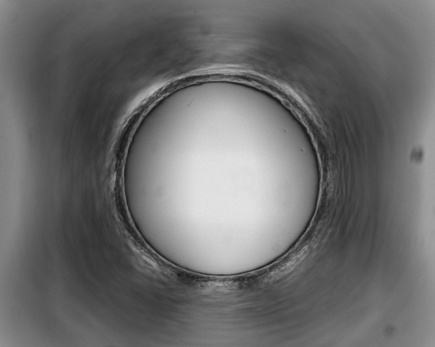 X0000099411406200805090716