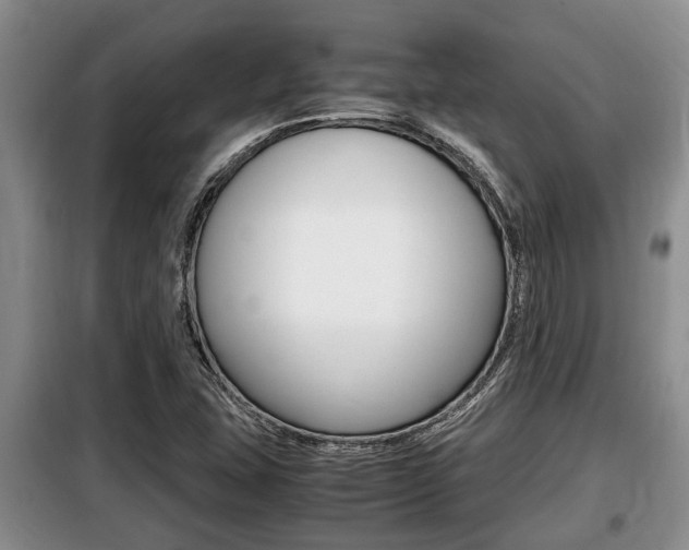 X0000099411407200805090716