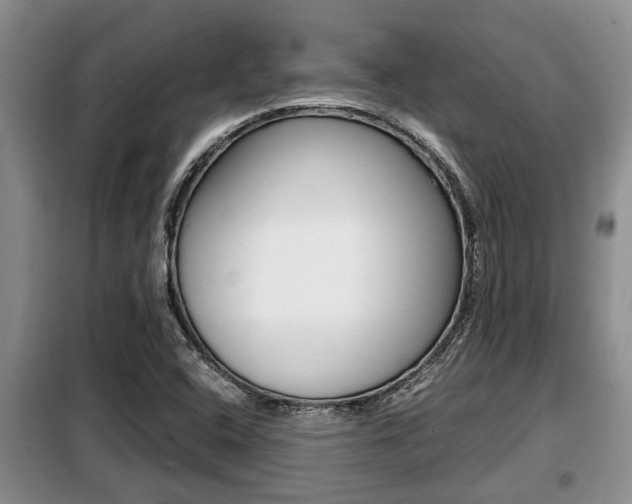 X0000099411408200805090716