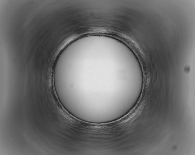 X0000099411409200805090716