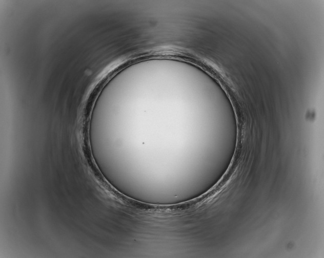 X0000099411410200805090716