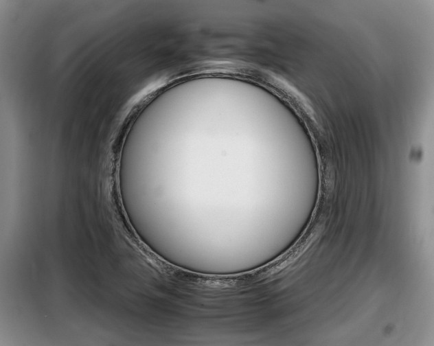 X0000099411411200805090716