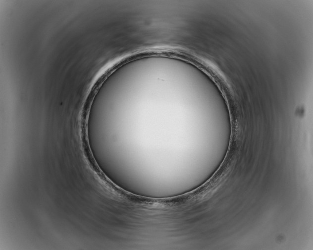 X0000099411412200805090716