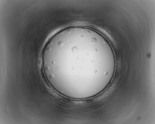 X0000099411413200805090716