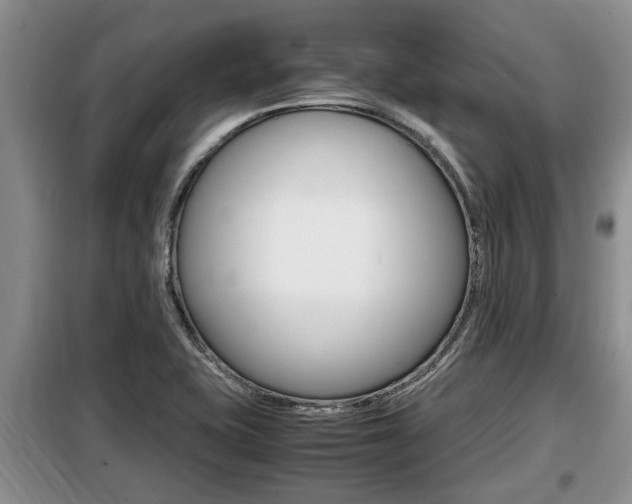 X0000099411415200805090717