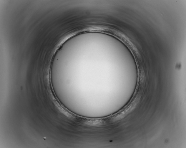 X0000099411417200805090717