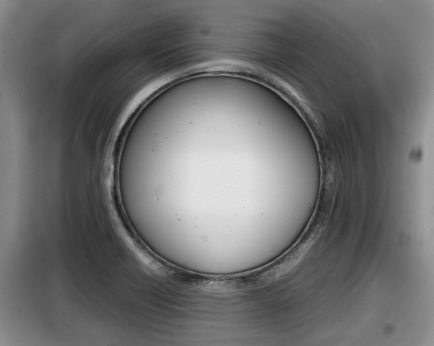 X0000099411418200805090717