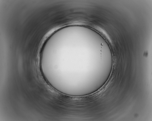 X0000099411419200805090717