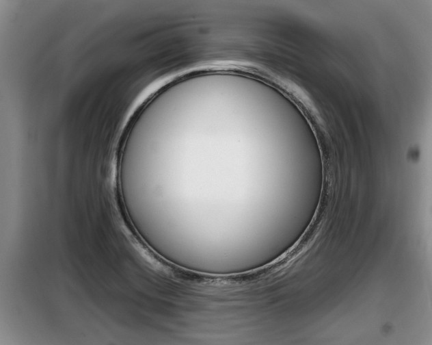 X0000099411420200805090717