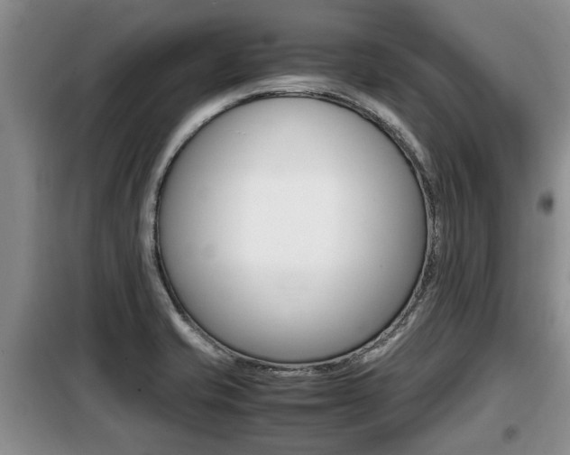 X0000099411421200805090717