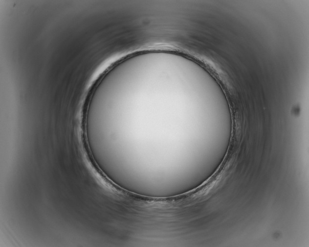 X0000099411422200805090717