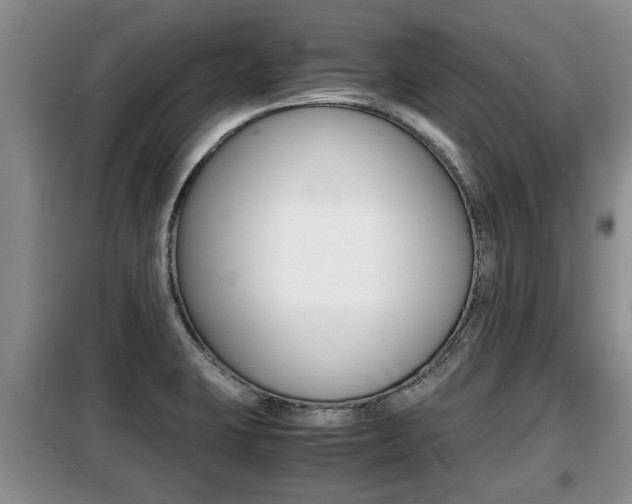 X0000099411423200805090717