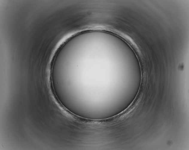 X0000099411424200805090717