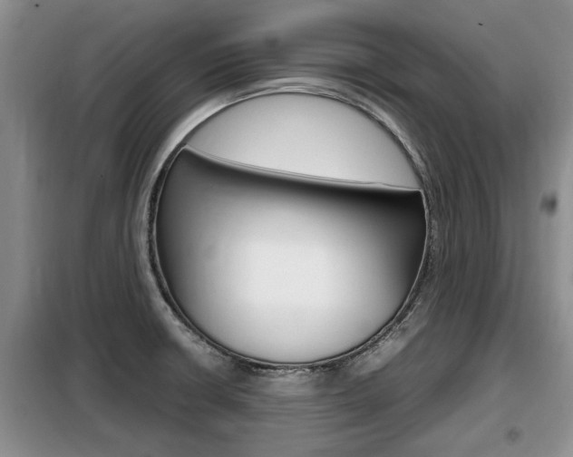 X0000099411426200805090717