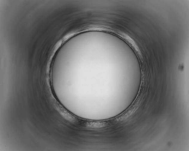 X0000099411427200805090717