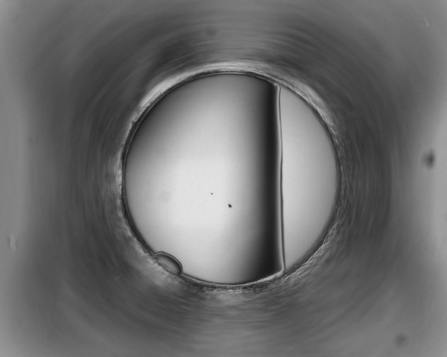 X0000099411428200805090717