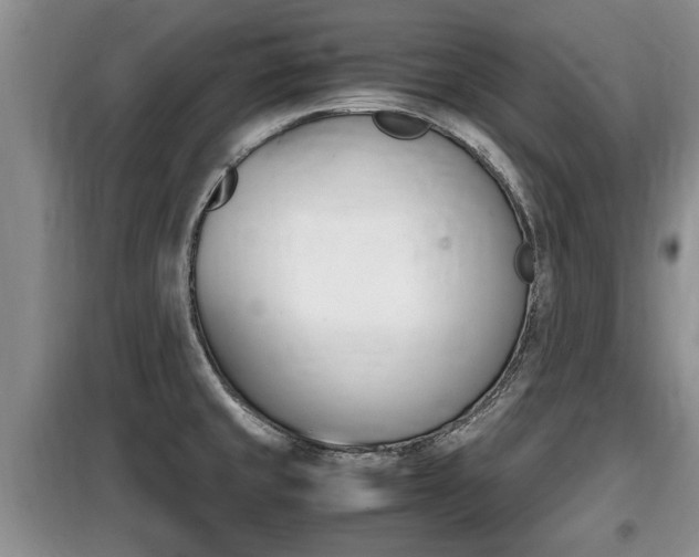 X0000099411429200805090717