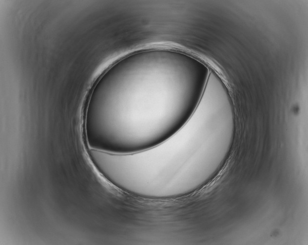 X0000099411430200805090717