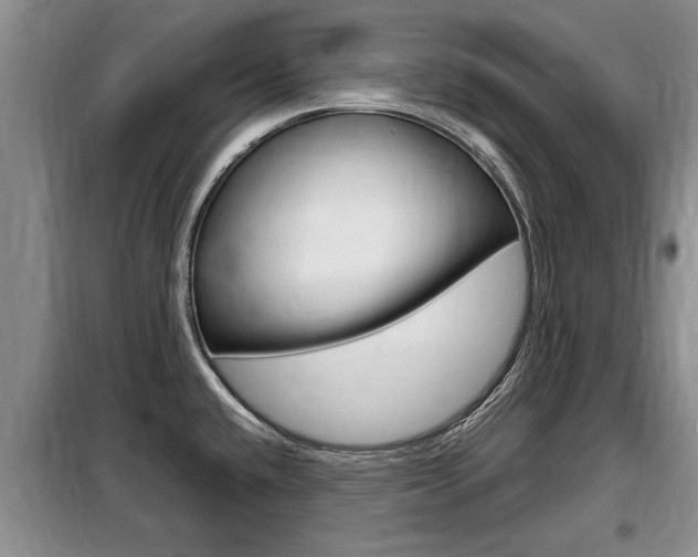 X0000099411432200805090717