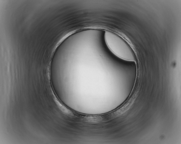 X0000099411433200805090717