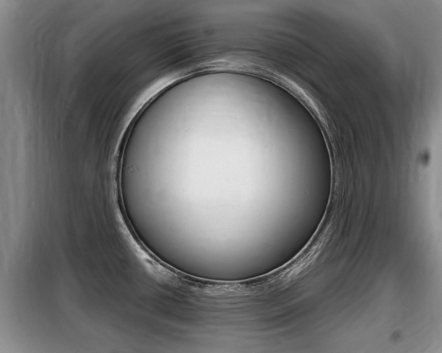 X0000099411434200805090717