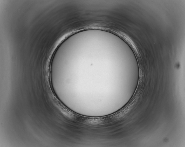 X0000099411435200805090717