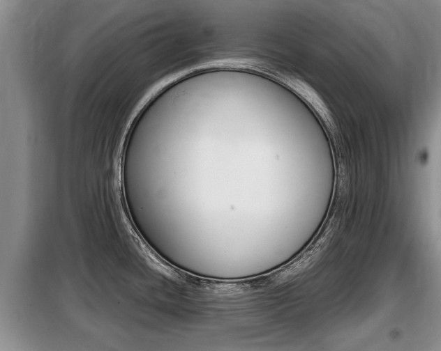 X0000099411436200805090717