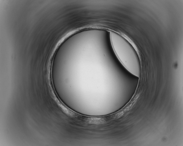 X0000099411437200805090717