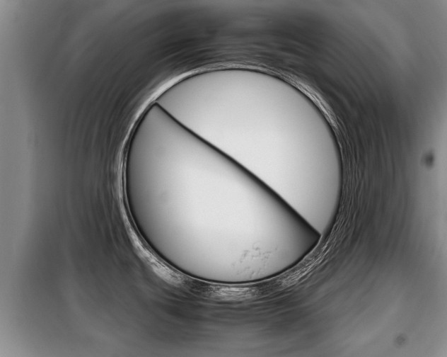 X0000099411439200805090717