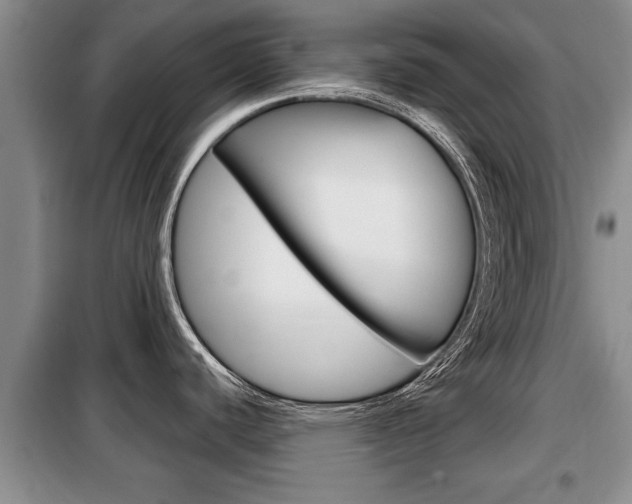 X0000099411440200805090717