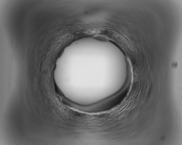 X0000099411441200805090716