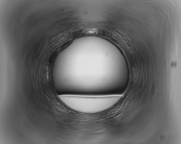 X0000099411442200805090716
