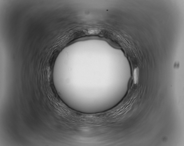 X0000099411443200805090716