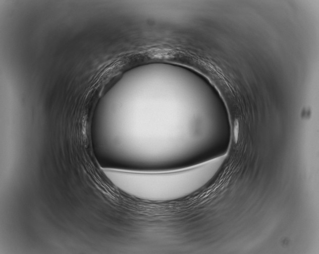 X0000099411444200805090716