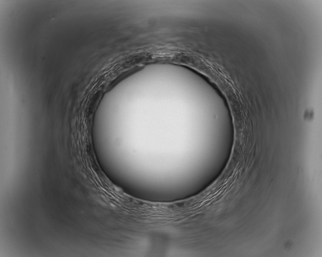 X0000099411445200805090716