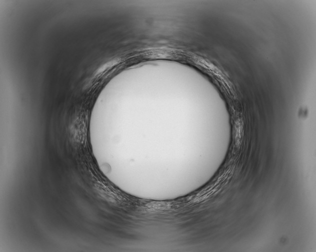 X0000099411446200805090716