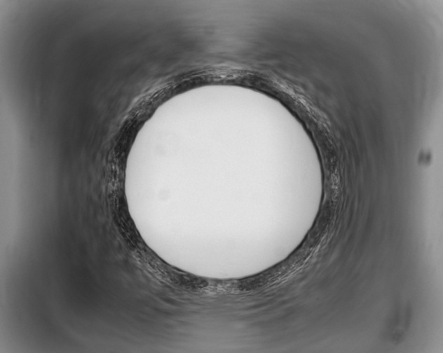 X0000099411447200805090716