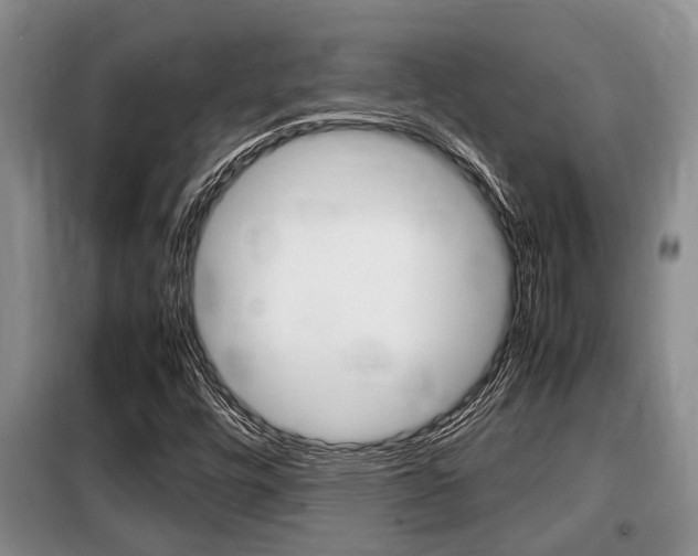 X0000099411448200805090716
