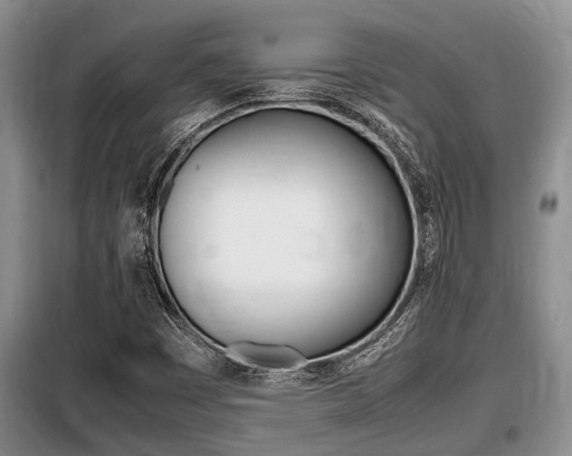 X0000099411449200805090716