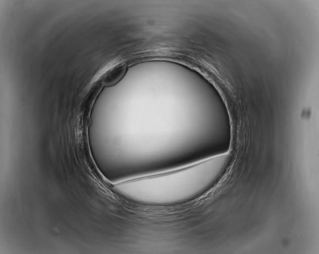 X0000099411450200805090716