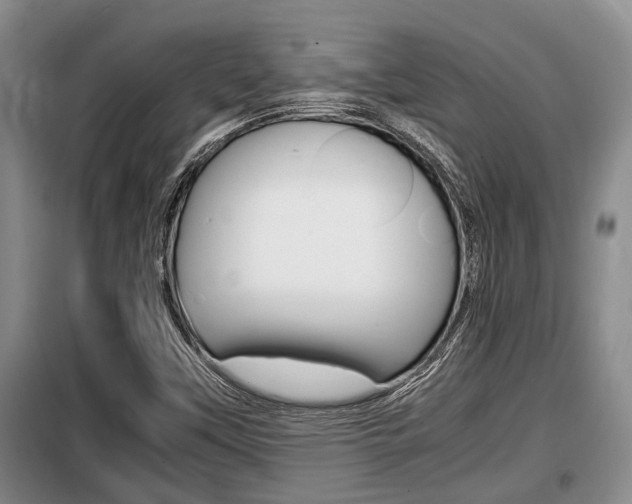 X0000099411451200805090716