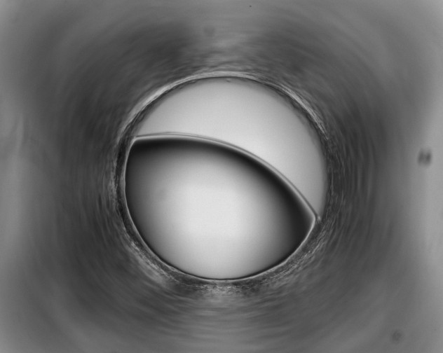 X0000099411452200805090716