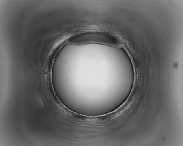 X0000099411453200805090716