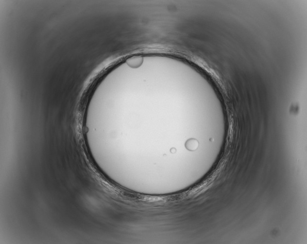 X0000099411454200805090716